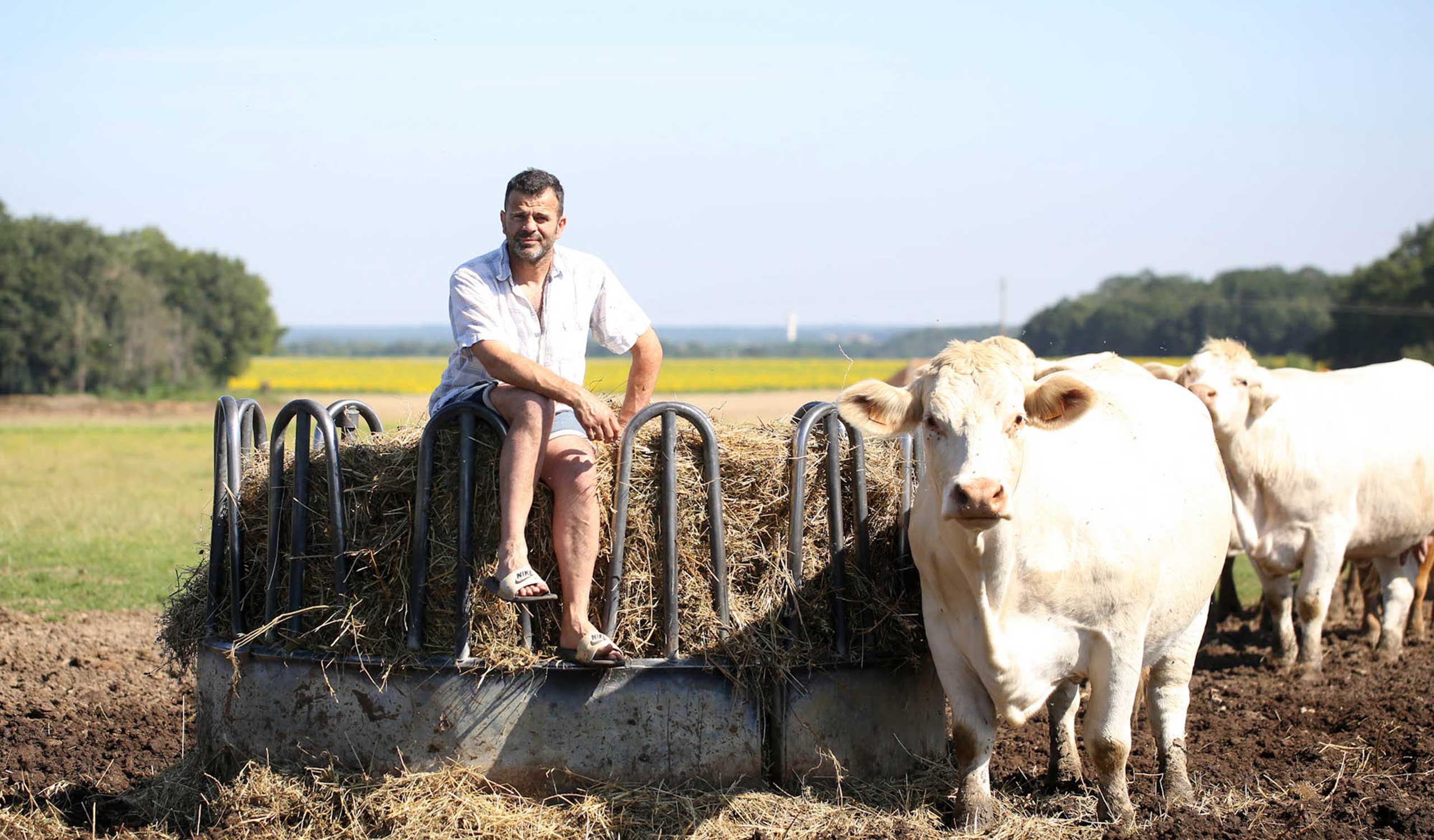 Stéphane Turbeaux, éleveur de bovins, SARL Turbeaux à Vallières les grandes en Touraine, département 41